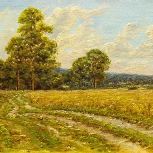 Летняя дорога