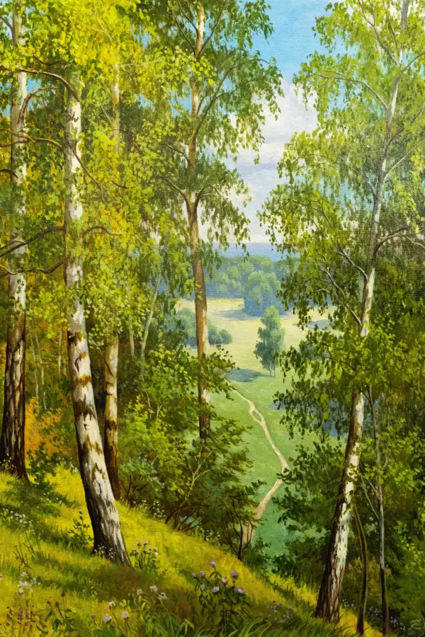 Березовая роща
