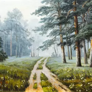 Лесная дорога