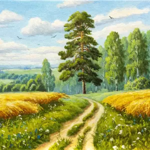 Полевая дорога