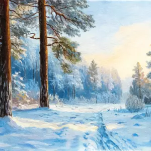 Зимний Лес